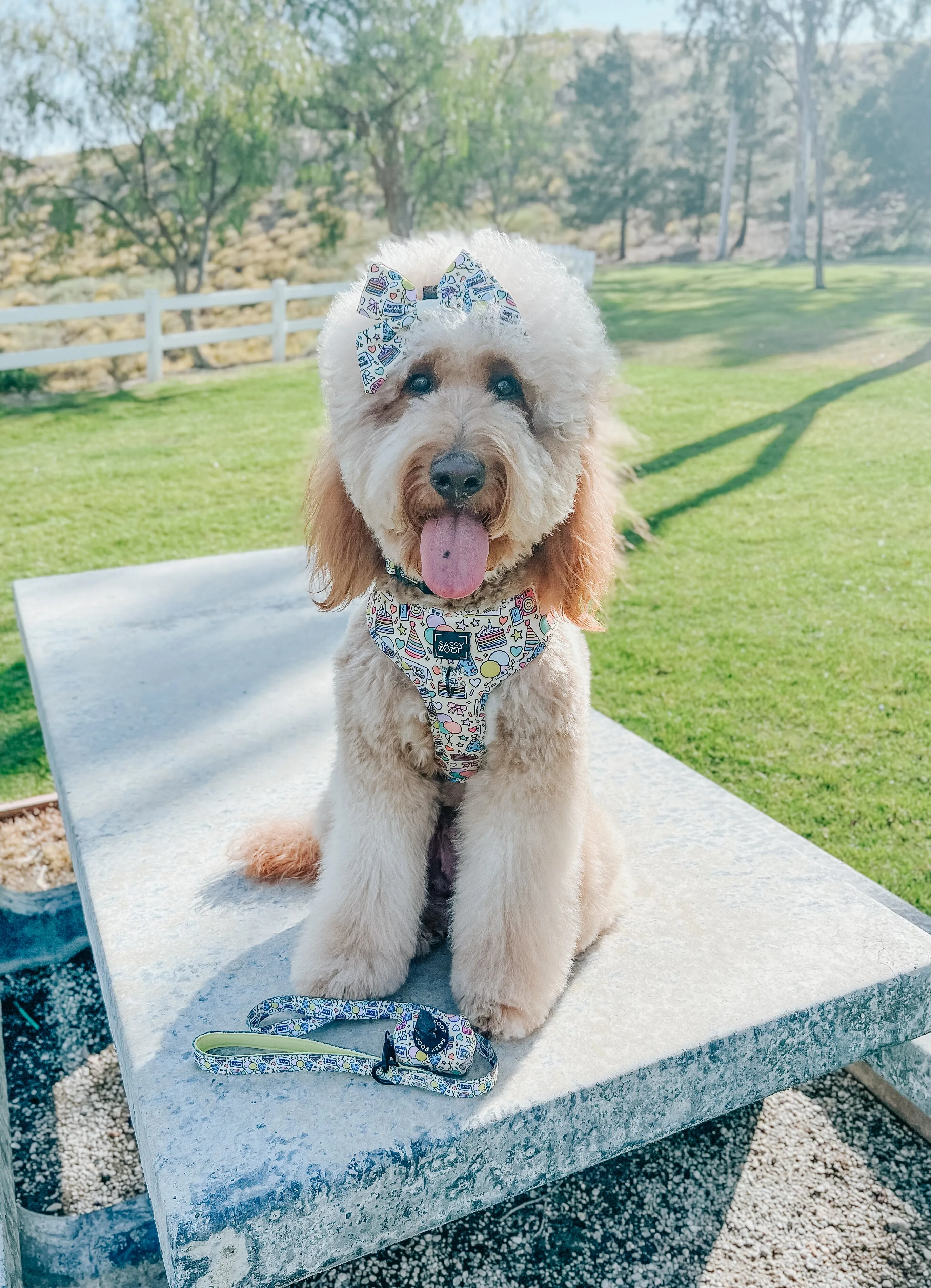 Dog Waste Bag Holder - Raise the Woof