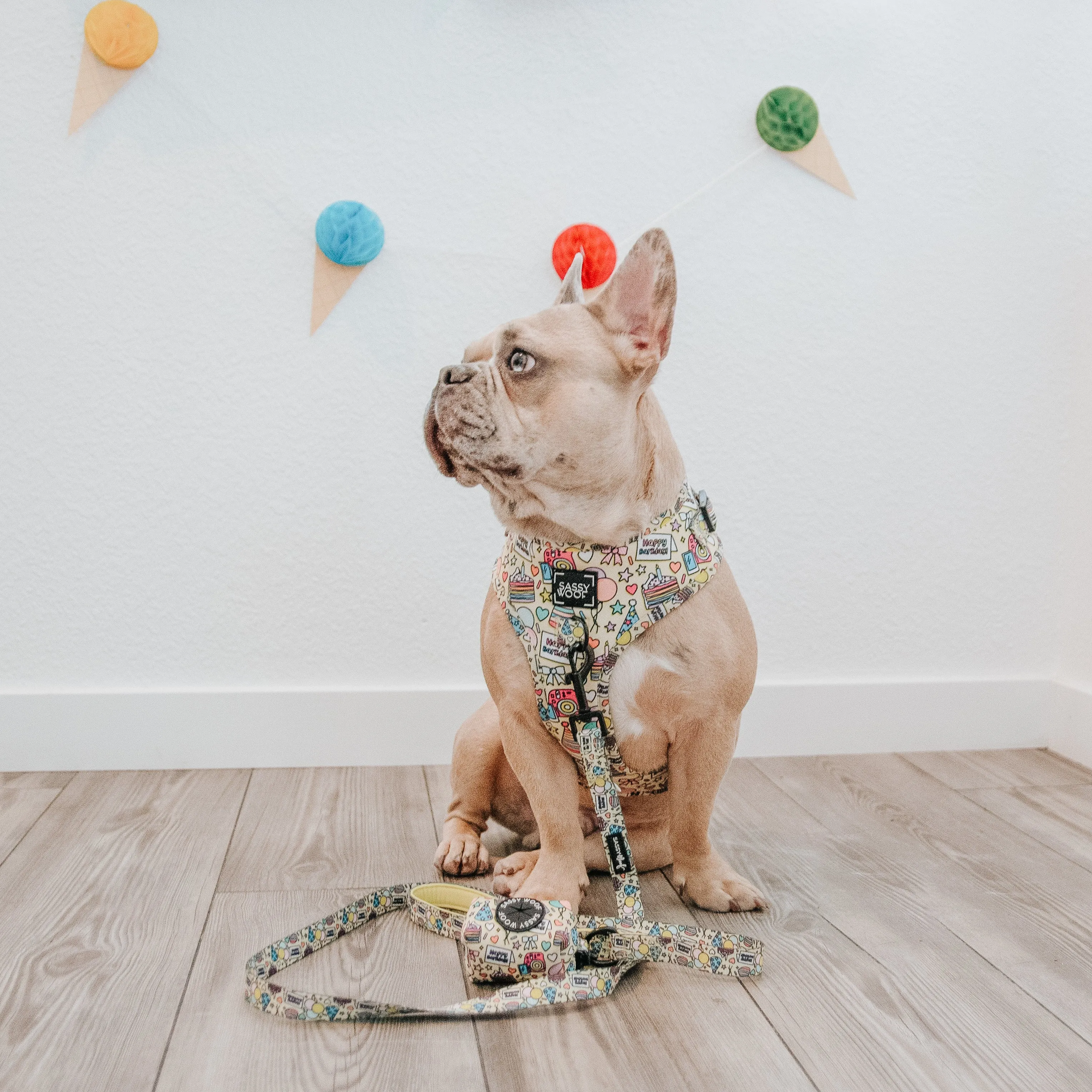 Dog Waste Bag Holder - Raise the Woof