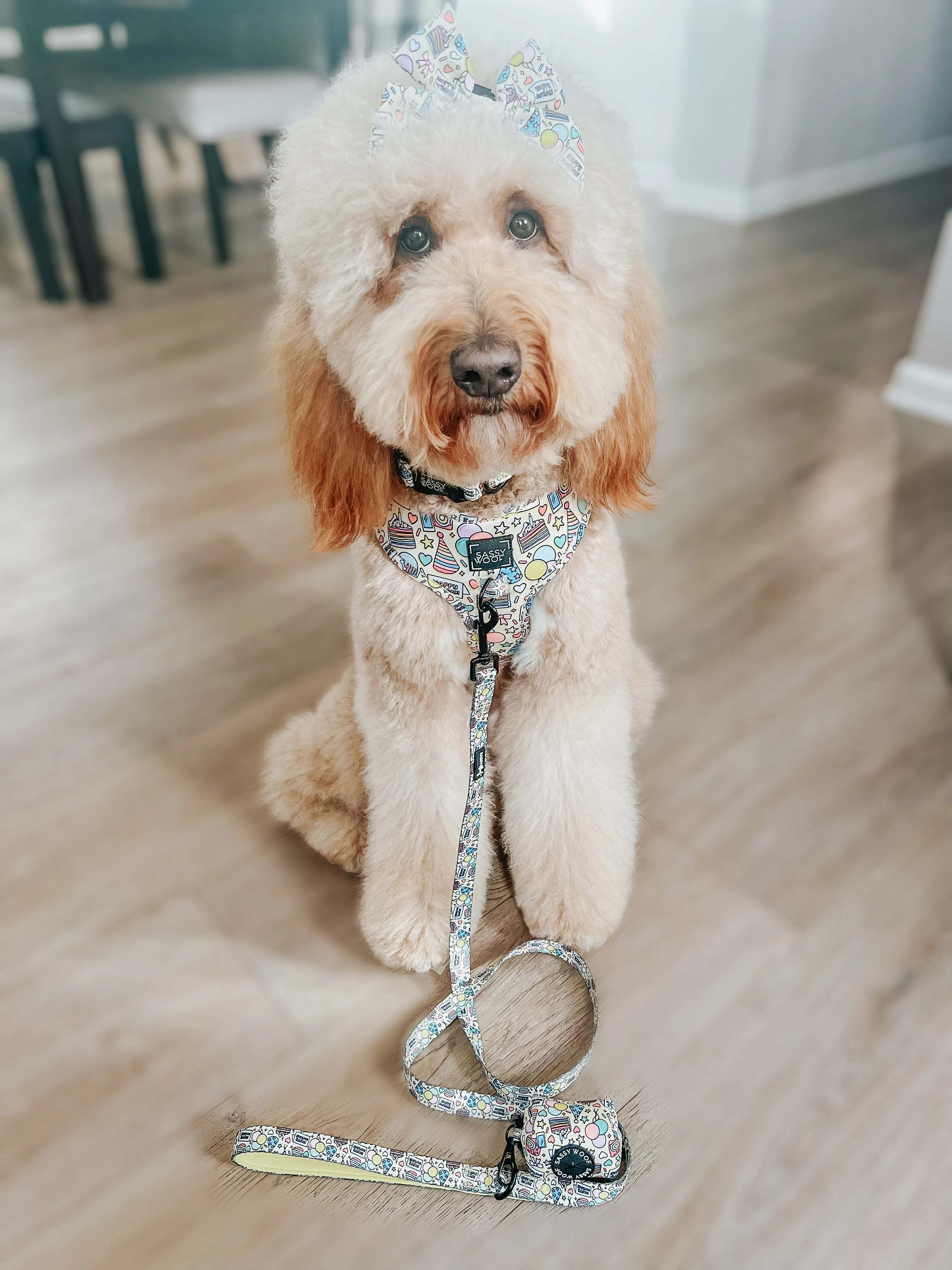 Dog Waste Bag Holder - Raise the Woof
