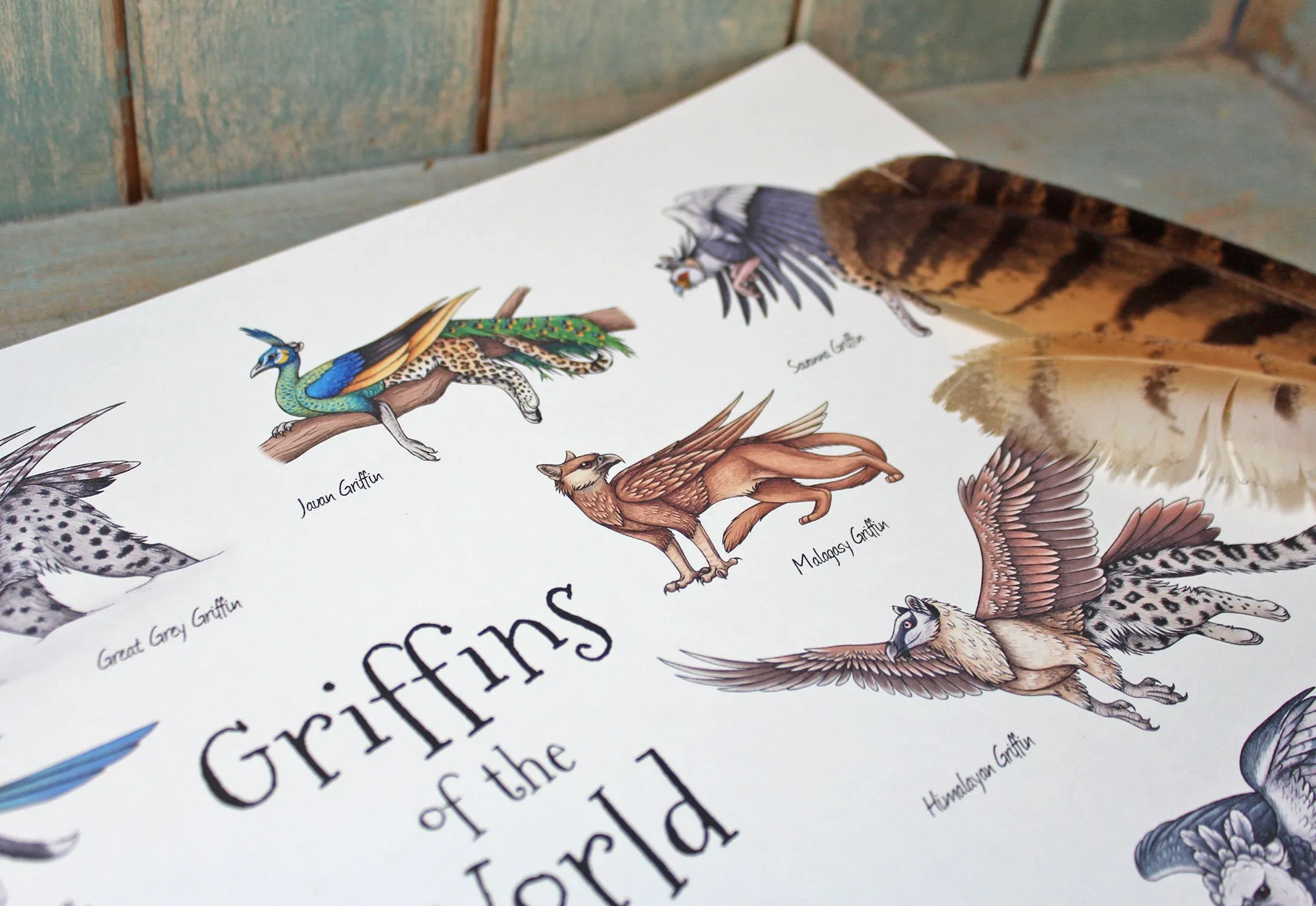 Griffins of the World A4 Print