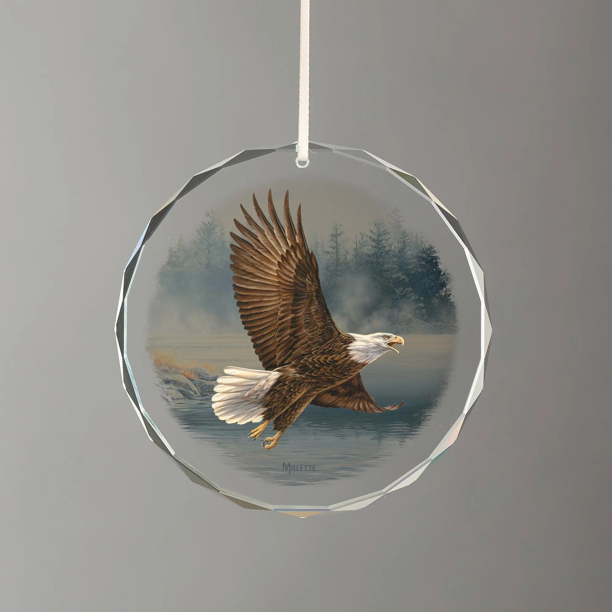 Majestic Flight - Eagle