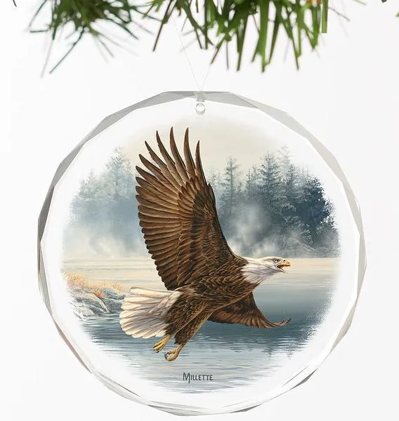 Majestic Flight - Eagle