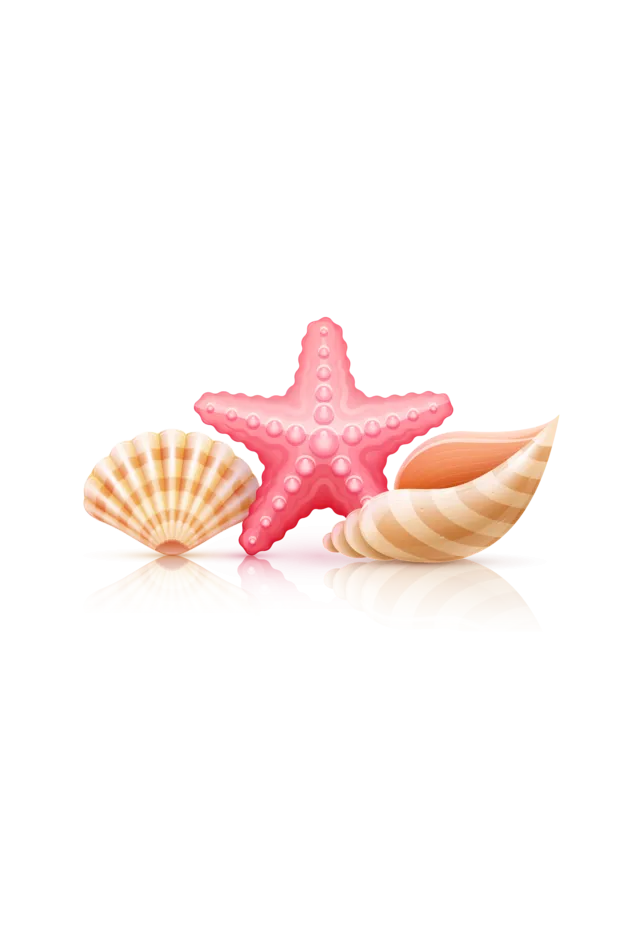 Sea Shell and Starfish Tote Bag