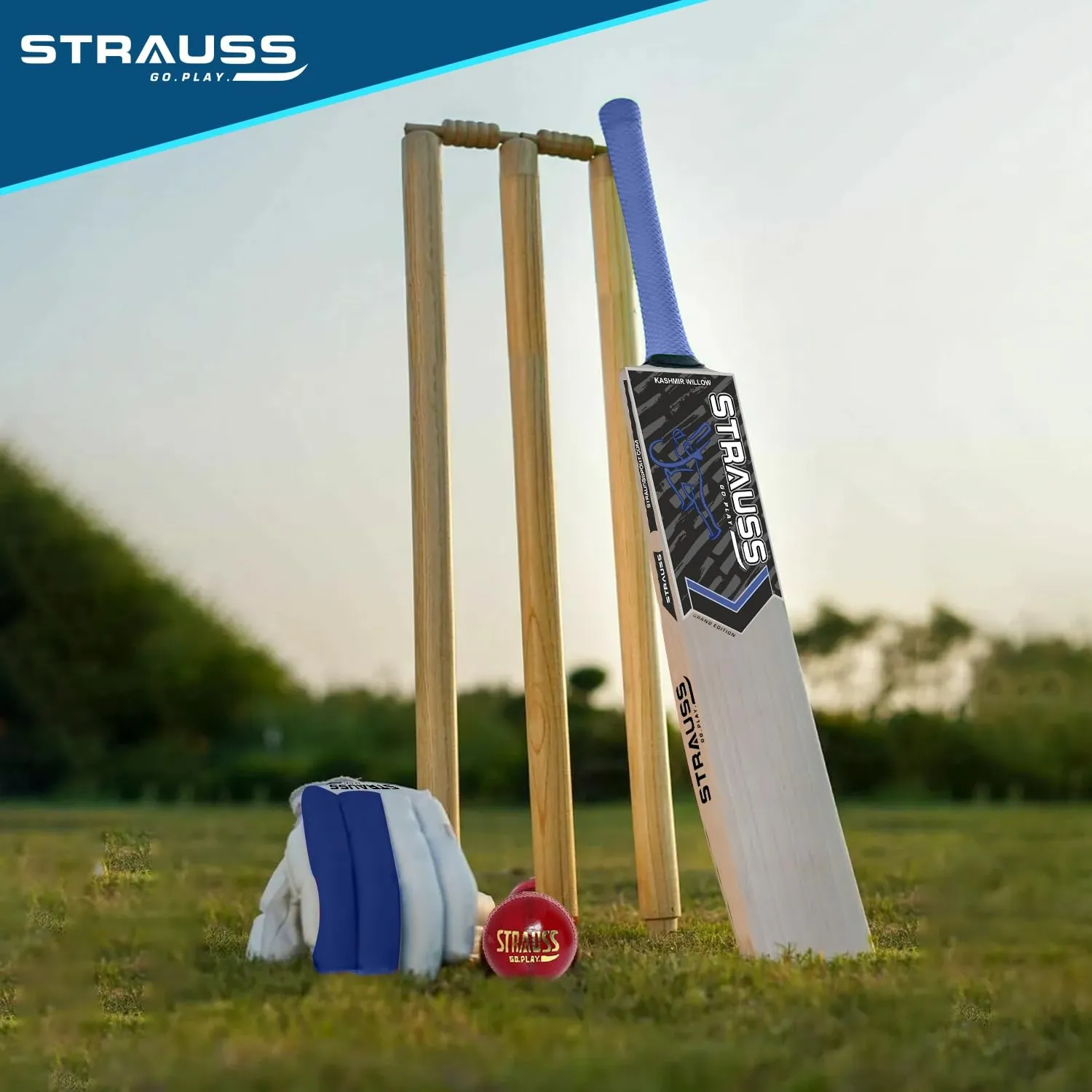 Strauss Kashmir Willow Cricket Kit Bag | Cricket Bat Set Combo with A Leather Cricket Ball| Ideal for Age Group 15  | Set of 9 (Blue) (Youth)